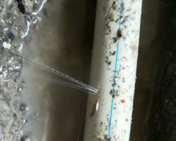 浮梁卫生间测漏水多少钱
