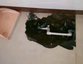浮梁卫生间测漏水多少钱